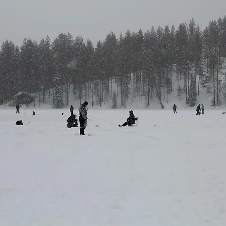 Mänty- Syöte
