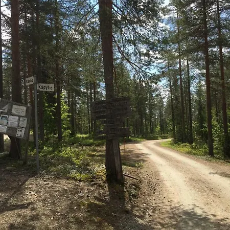 Mänty- *