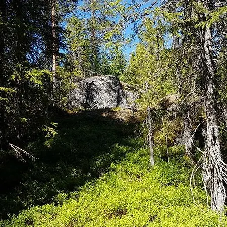 Mänty-