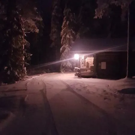 Mänty-