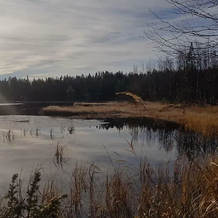 Manty- Syöte